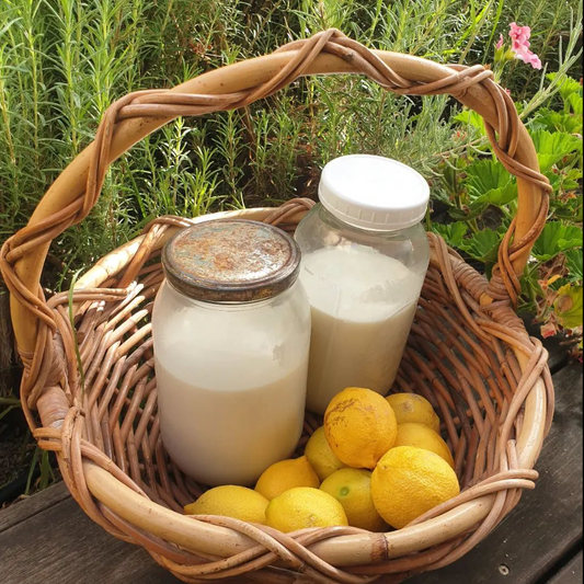 Milk &  Lemons make Paneer