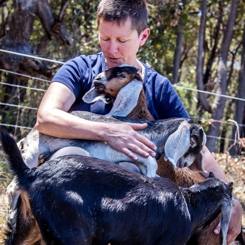 Cath the crazy goat lady with baby goats