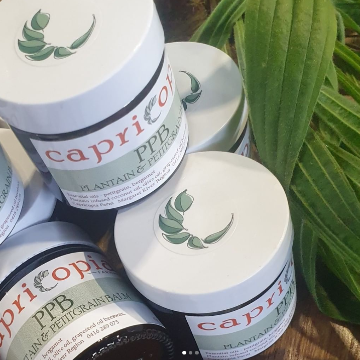 plantain infused anhydrous oil and beeswax balm