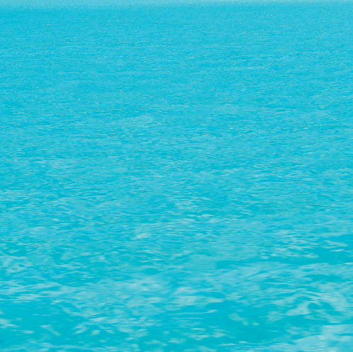 Love this Place Essential Oil Blend - Ocean -15ml