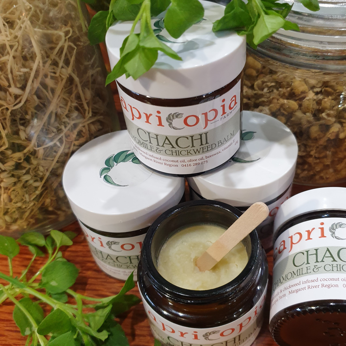 CHACHI Chamomile & Chickweed Balm